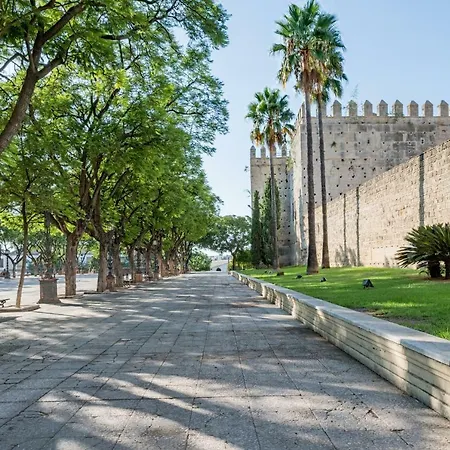 Apartment Surthy San Pedro Midtown Jerez de la Frontera